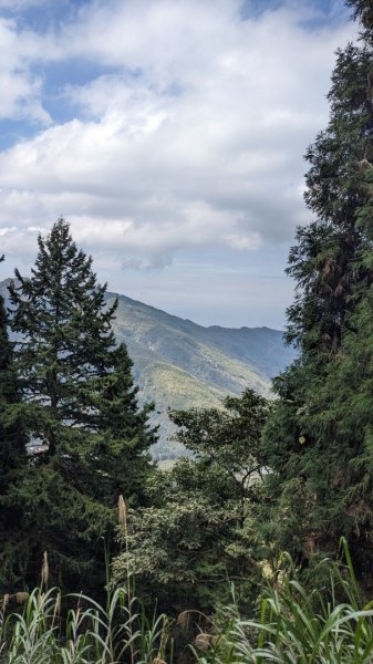 溪頭鳳凰山2021039