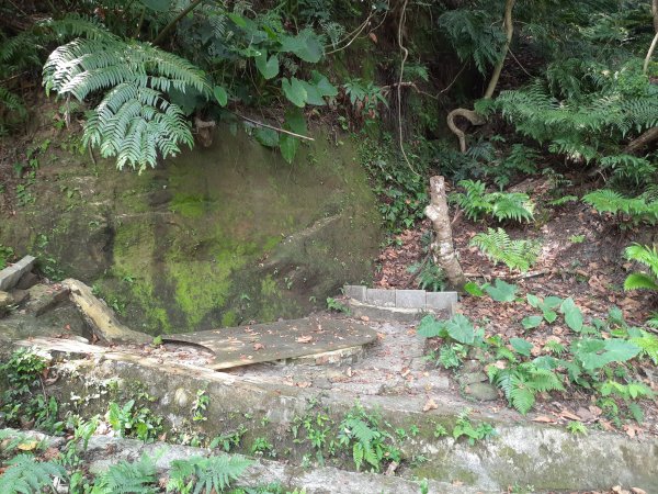 圓通寺烘爐地登山步道1425377