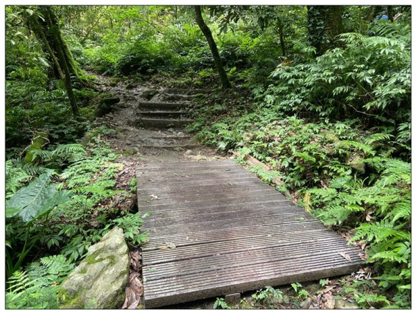 聖母峰、三角崙山 (抹茶山) 連走2802209