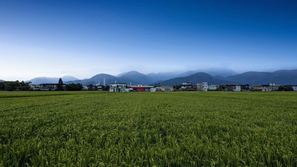 三奇美徑,52甲濕地,傳藝中心2518183