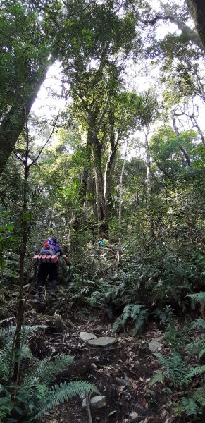 白姑大山之旅743398