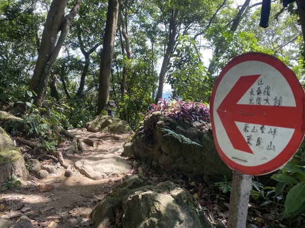 2025微笑山線大縱走尋寶集章任務-Ep.03【鳶山山系】鳶山彩壁段2893702