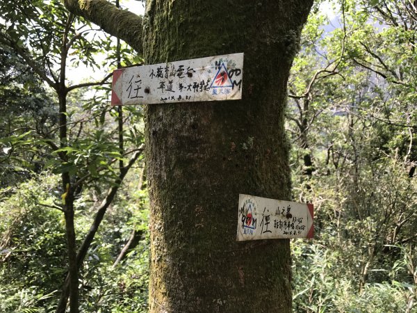 小觀音山西峰577356