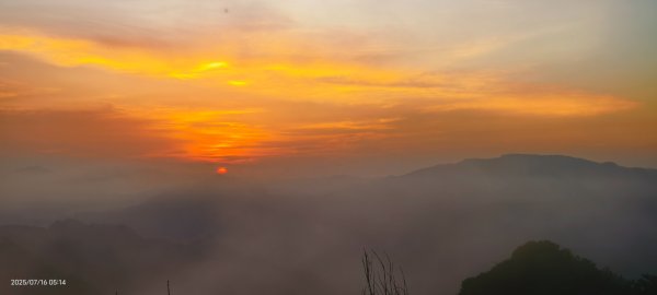 雲山水花鳥蝶-天龍國阿伯的日常 7/162838396