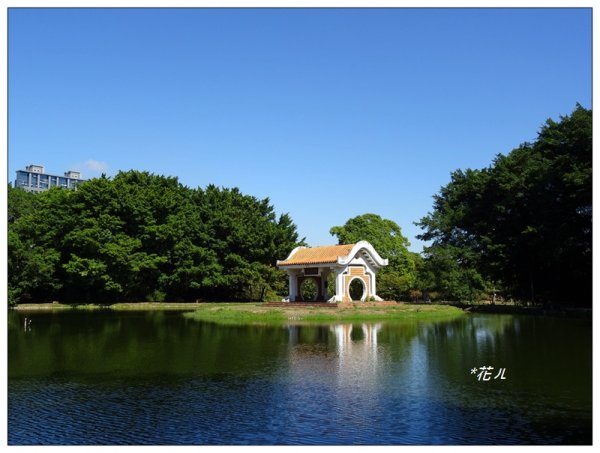 東海大學/校園步道746105