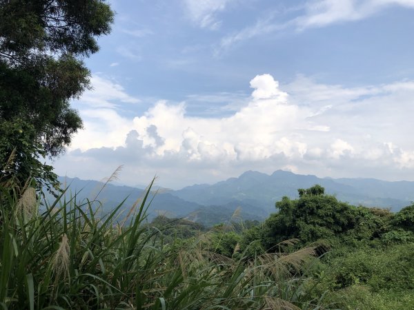 台灣小百岳No.043 三汀山1103354