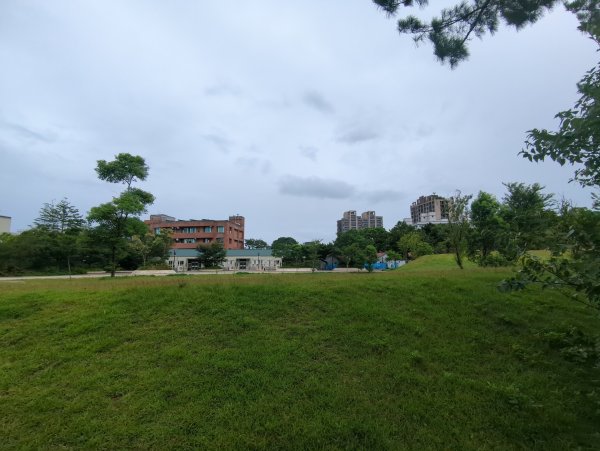 2025.07.20－霄裡好風光：大湳森林公園&亮亮健康樂園2841513
