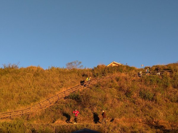 【南投縣仁愛鄉】合歡群峰2天1夜(下)1028135