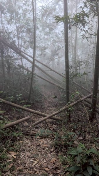 集集大山步道2886267