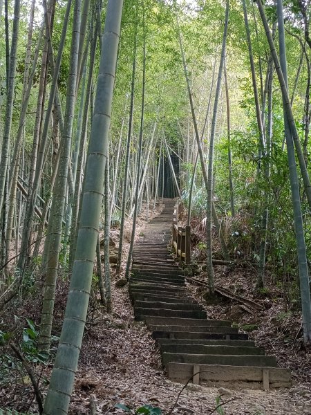 小百岳集起來，石壁山步道嘉南雲峰順走好望角，順造再撿一顆小百岳蘭潭後山紅毛埤