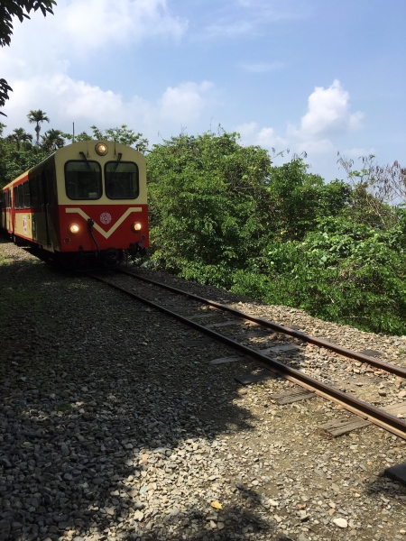 與森林小火車相依的獨立山步道56914