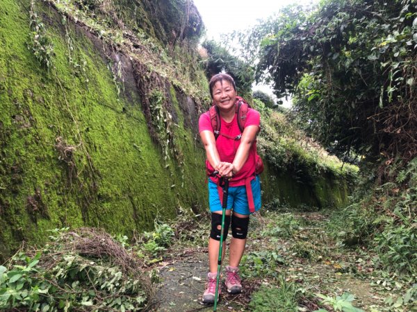 後棟山經挑筍古道上大尖山再走樟湖山1100396