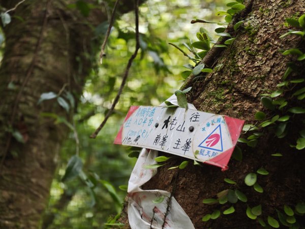 2026-0518 二子坪_大屯坪_青楓步道_猴砍水圳步道_橫嶺古道_半嶺水圳_天母圓環3057280