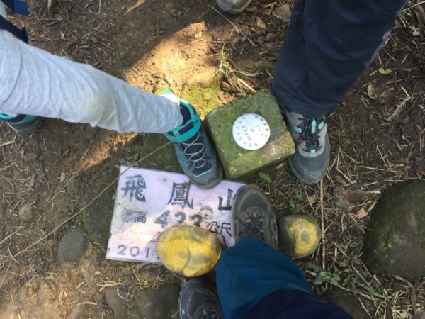 飛鳳山半日遊813180