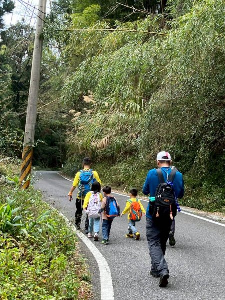 🌈3/21（六）頂湖上大凍山下奮起湖老街✨FB：熊熊趴爬走🌈3020198