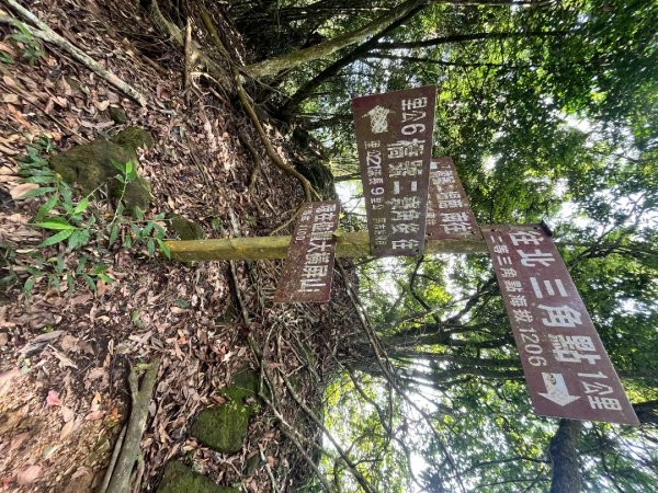 20250913_大橫屏山（南投小百岳）2941215