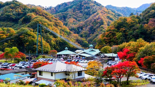 栃木縣紅葉谷大吊橋2930303