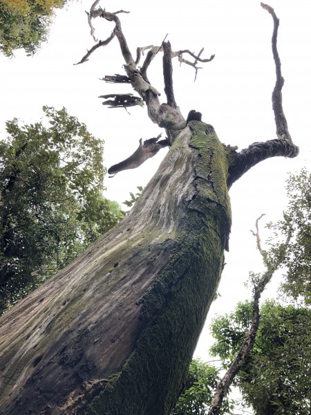 溪洲山登山口-新溪洲山-石門水庫897641