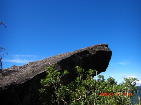 玉山暨阿里山之旅200806091954475