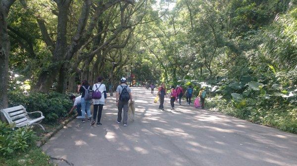 20181006 健筆淨山牡丹心448842