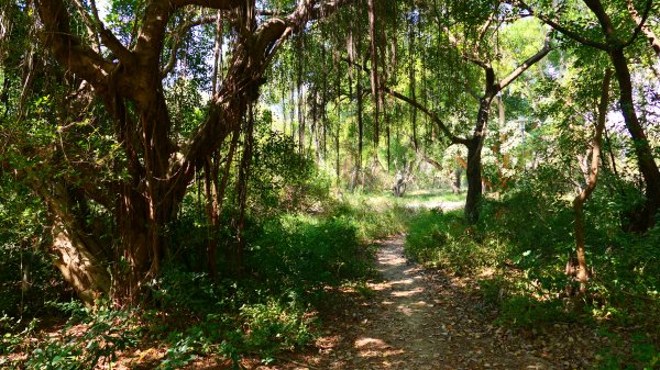 台南知事官邸等3002006