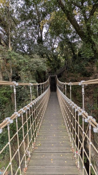 環山獵人登山步道3014391
