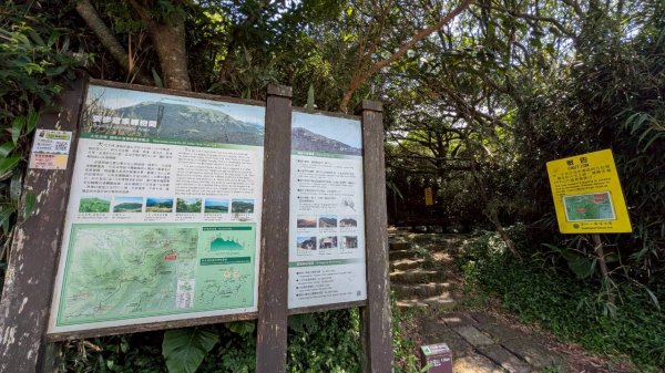 大屯山主峰步道3067618