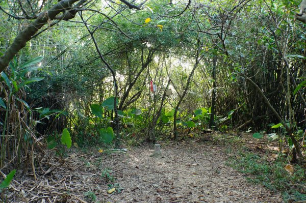 宜蘭 蘇澳 蘇澳山2893039