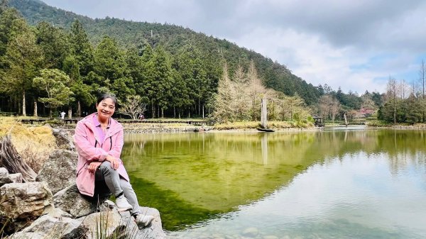 🌈228連假北橫賞櫻客製化四日遊Day2 FB：熊熊趴爬走🌈2724596