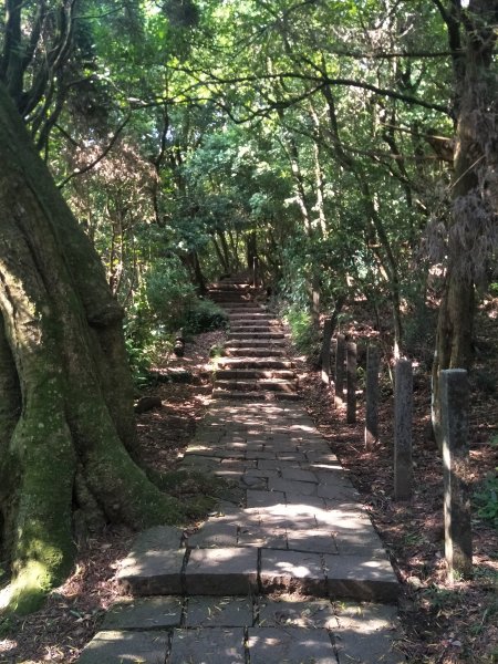 七星山主、東峰登山步道1682126