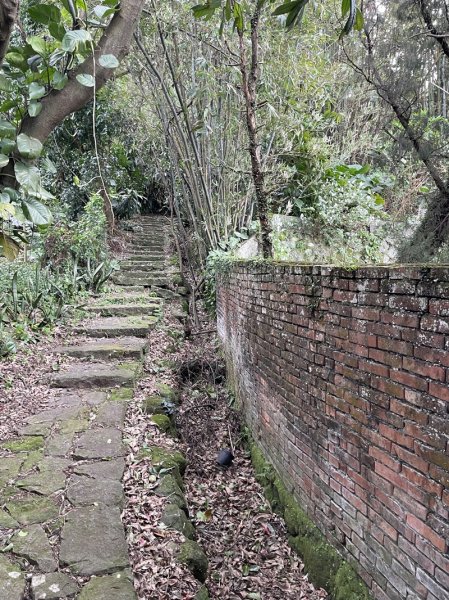 山仔頂步道2708435