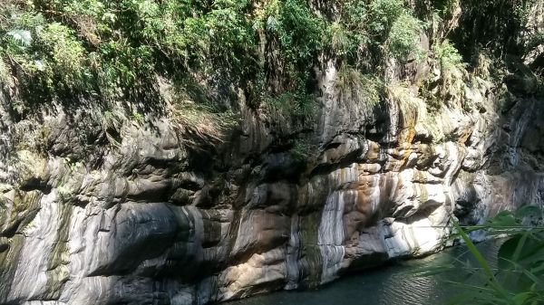 砂卡噹+白楊步道一日健走335307