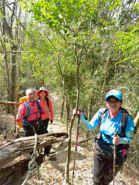 旗尾山(小百岳#)722765417