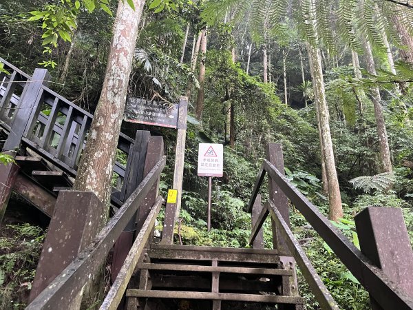 [皮皮獅Hike客任務-03/10] 2024_0720 五指山橫向登山步道2557170