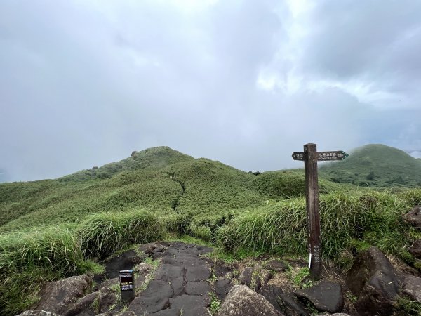 【臺北大縱走第三段】小油坑→風櫃口 之 天雨路滑小孩還特別多2178609