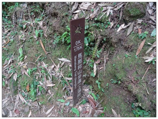 馬那邦山(小百岳)/上湖登山口2427073
