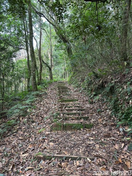 特富野古道2846010