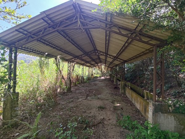 盆貿里山三盆連走2749585