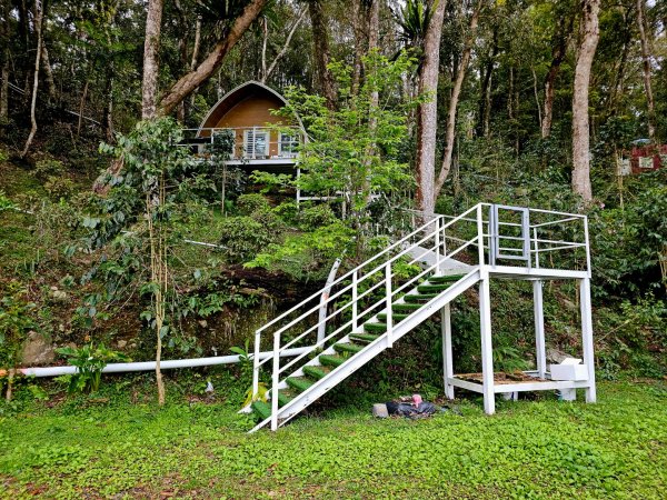 藤枝山-小百岳#68-高雄市桃源區2750327