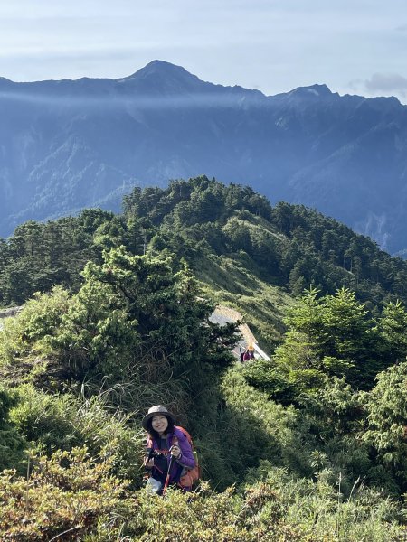 合歡南峰連走合歡主峰 優閒賞花 2022 07 171767775