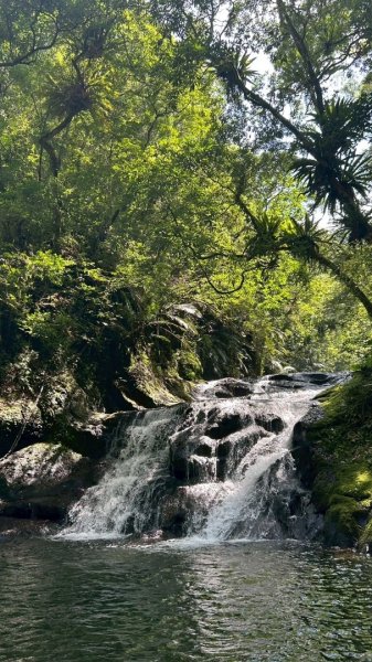 坪林-碧湖溪-蛋糕瀑布群（溯溪）2820887