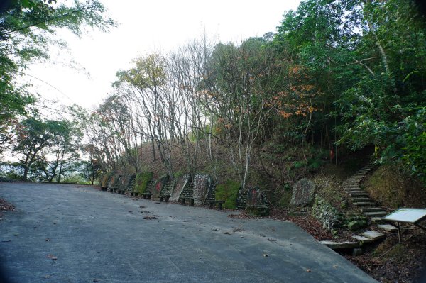 新北 貢寮 大石壁坑山、五酒桶山、龍崗山2980844