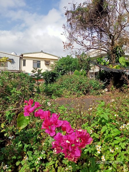 故宮博物院→狗殷勤古道→竹林步道→平菁街42巷賞櫻→臺北表演藝術中心→大港墘公園→瑞陽公園2434362