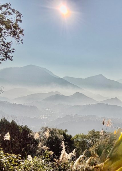 金龍山看山嵐風情2679509