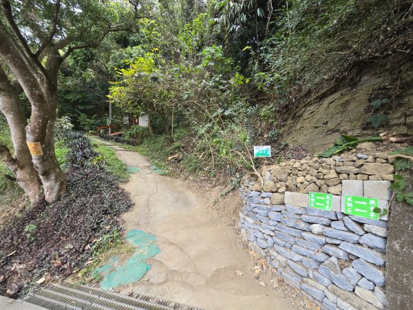 台中大坑9號／9之1／6號／7號O繞3連峰（西平山／平和山／大山母山）2709804