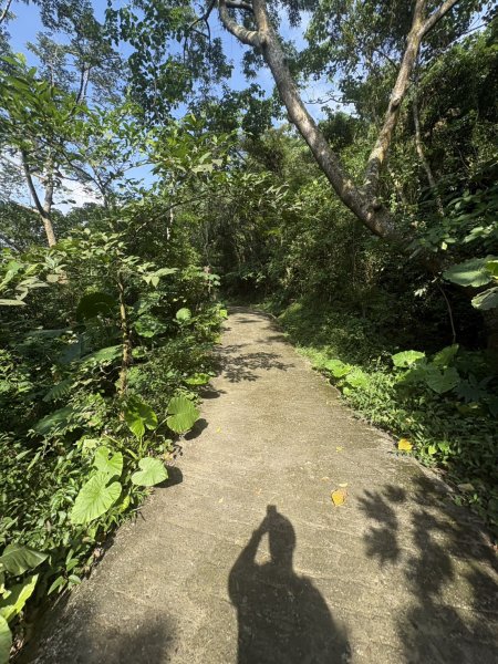 20251010南化龍麟山步道2914981