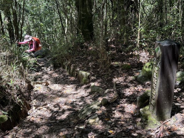 鳶嘴山+稍來神木 202508302873896