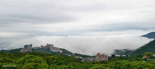 #文化大學 #雲海 #琉璃光 #陽明山秘境 4/253042451