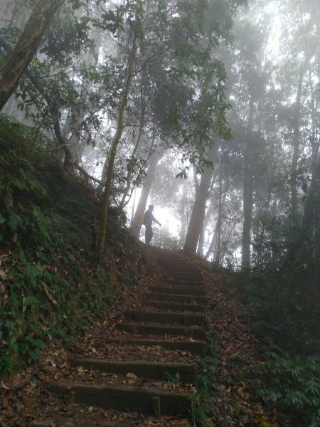 2023-02-26 登嘉南雲峰巧遇草嶺櫻花季2043959