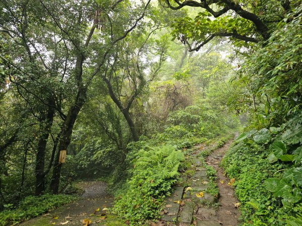 2026年臺北大縱走第六段：中華科技大學至捷運麟光站